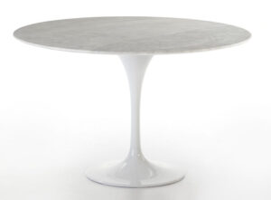 mesa Tulip